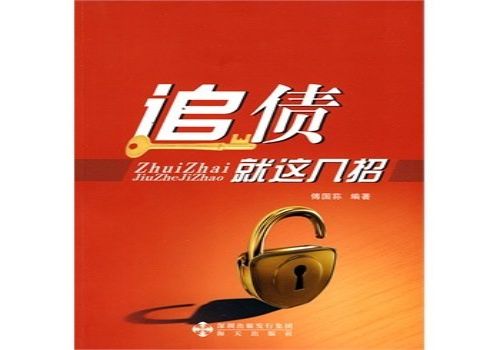 武汉要债公司：房屋抵押给个人还不上款可以吗